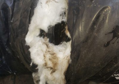 Not cooling due to rip